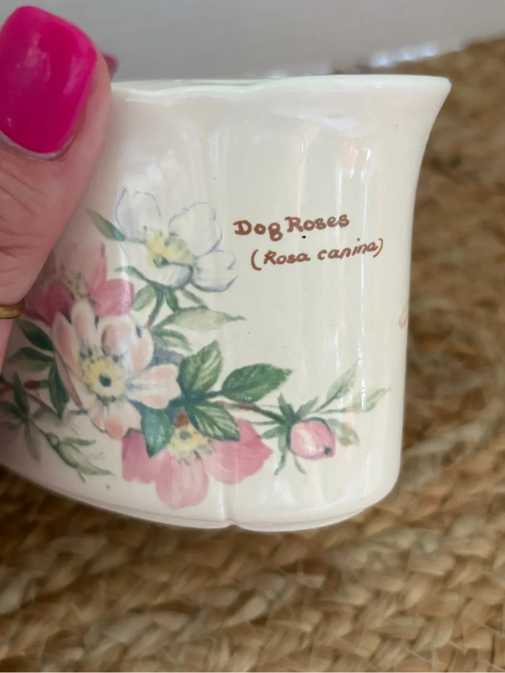 Vintage Royal Winton “The Country Diary Collection toothbrush holder